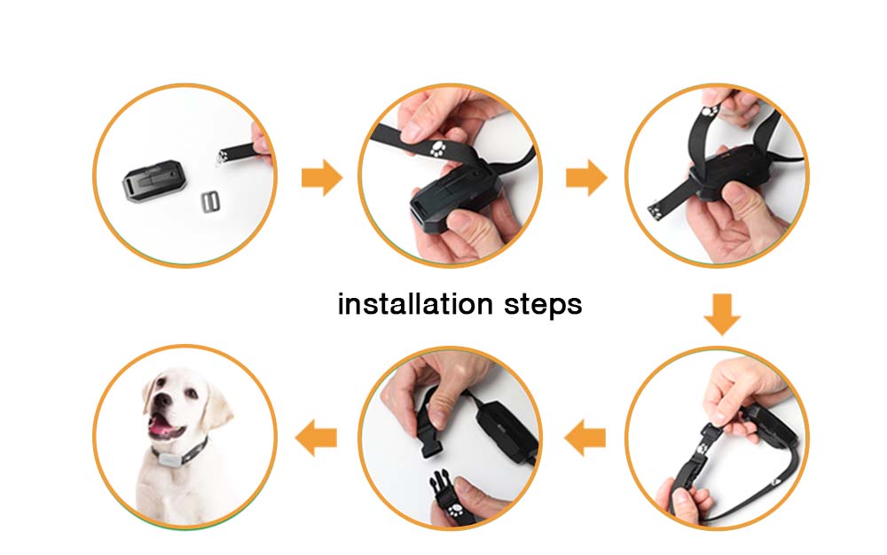 pet gps locator