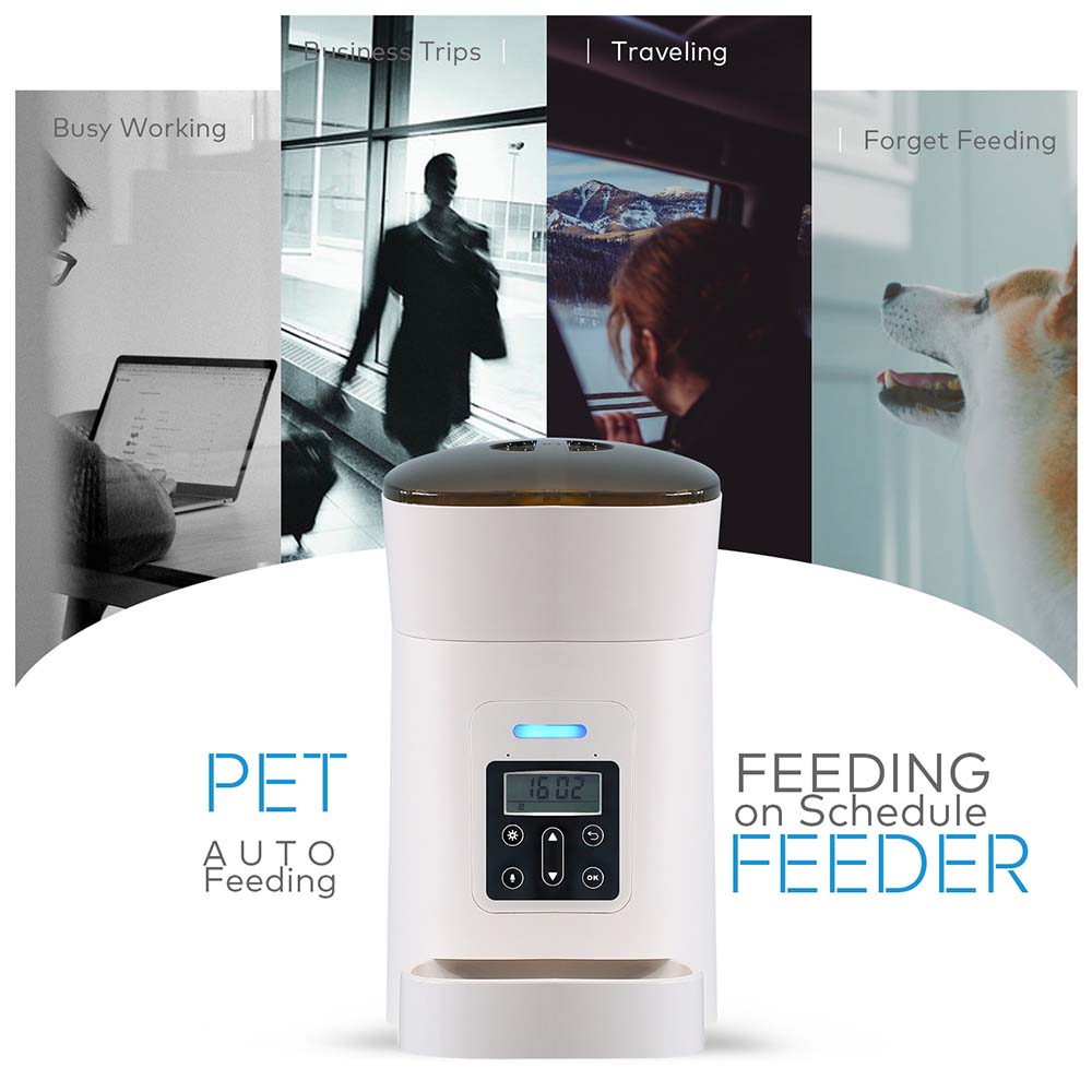 dog automatic water dispenser