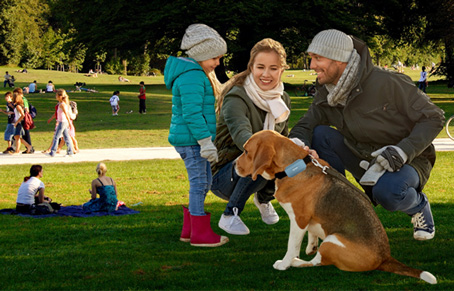 Pet GPS Tracker Guards Security