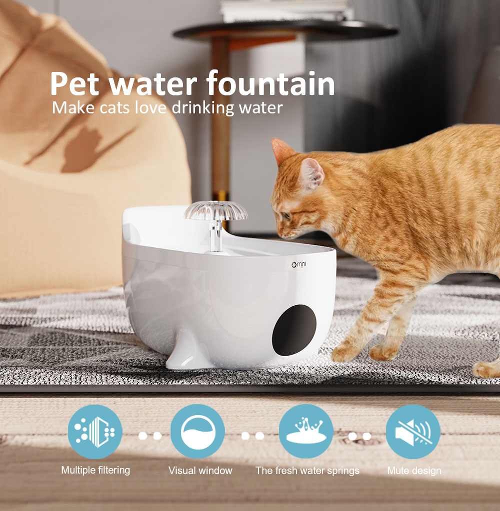 best cat fountain