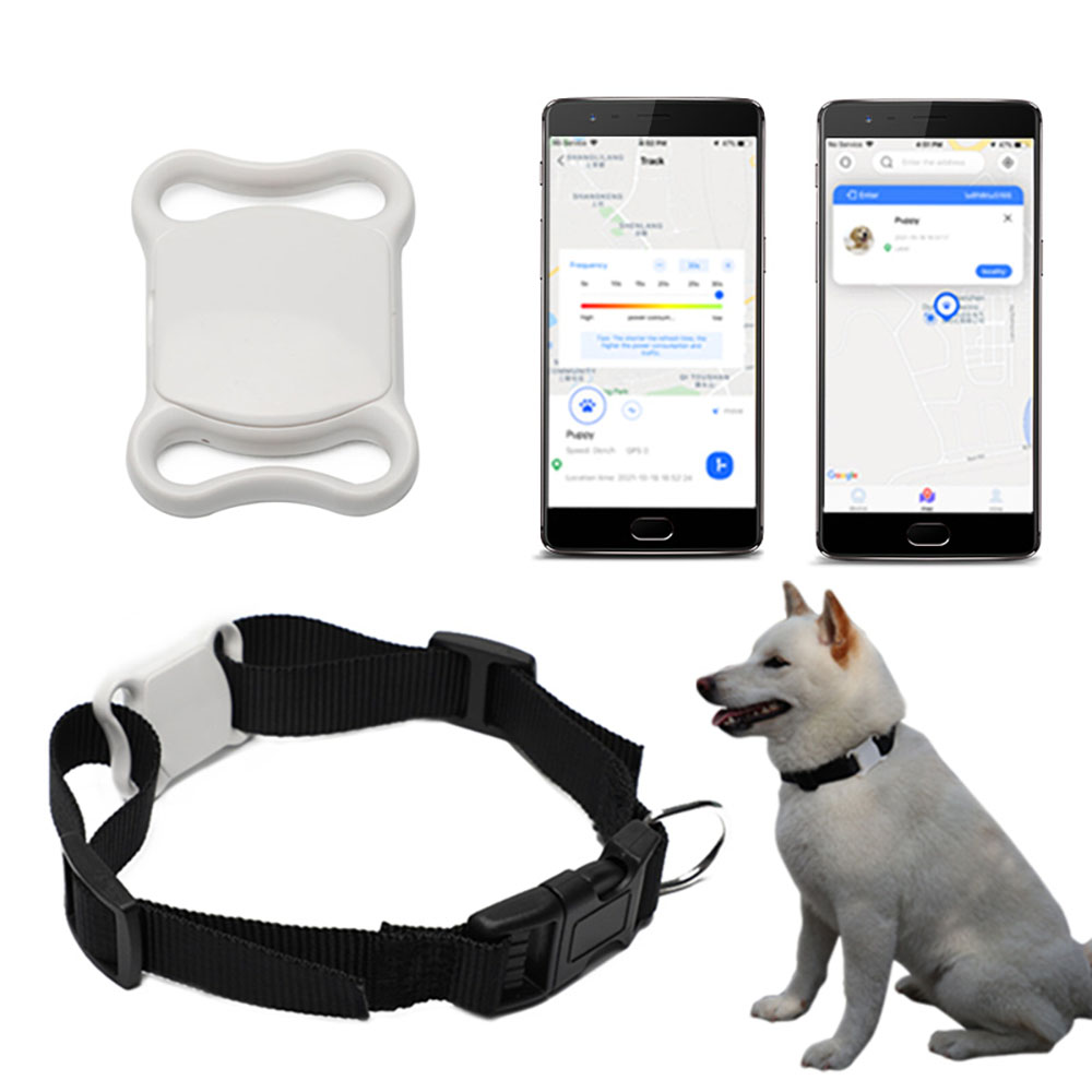 pet location tracker