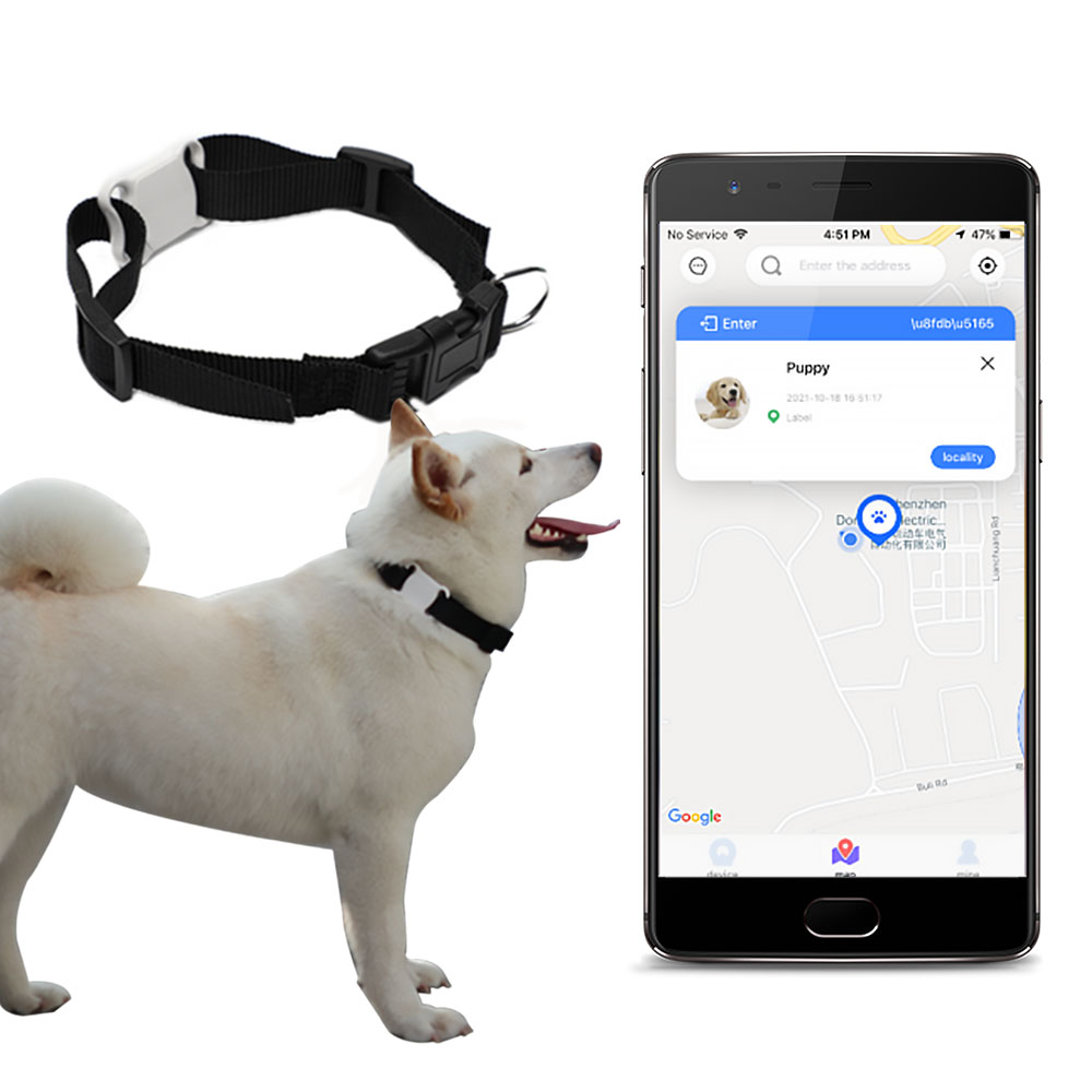 dog location tracker