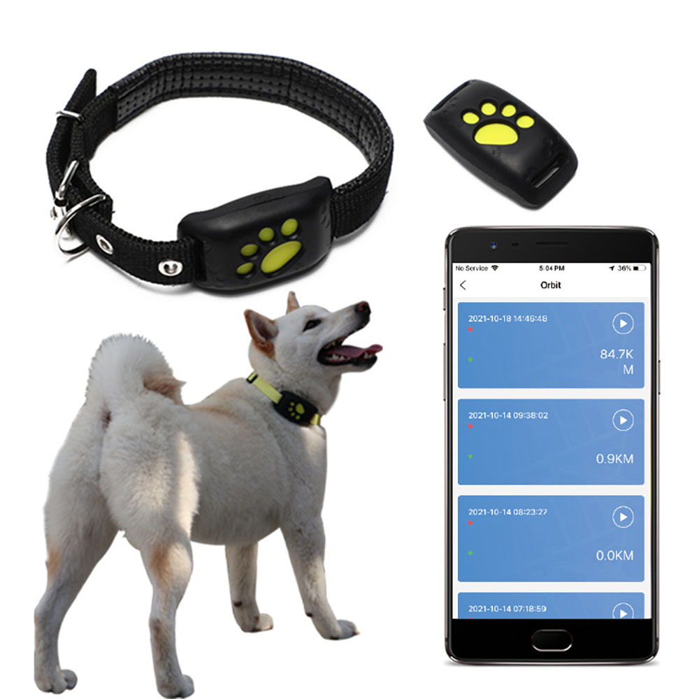 dog tracking system