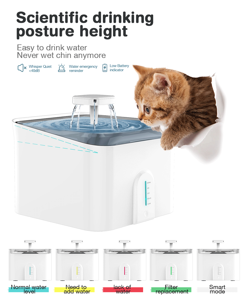 automatic water dispenser for cats