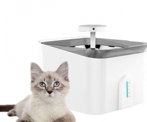 3.5L Smartphone APP Control Drinks Recording Pet Fountain