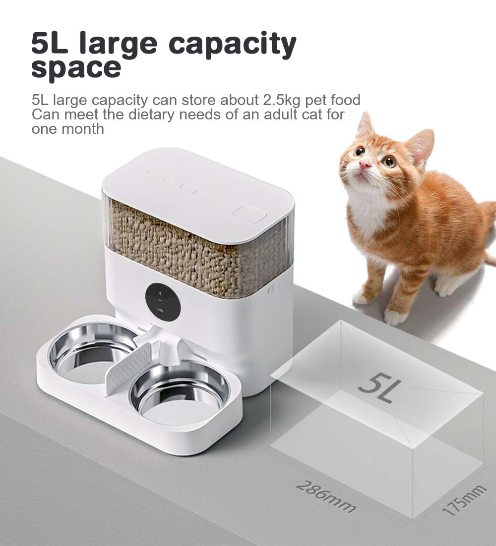 cat food dispenser