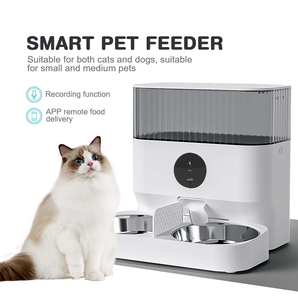 cat feeder