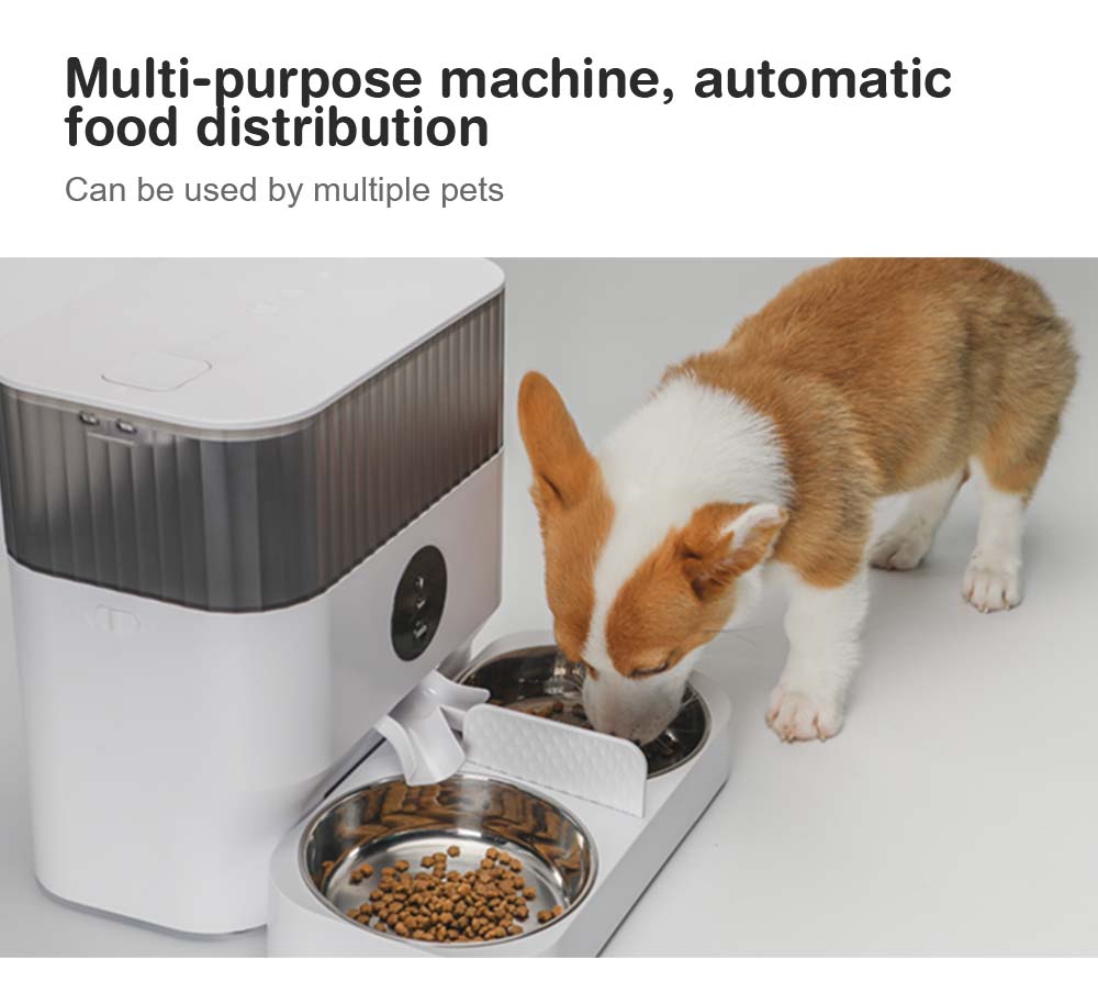 best automatic cat feeder