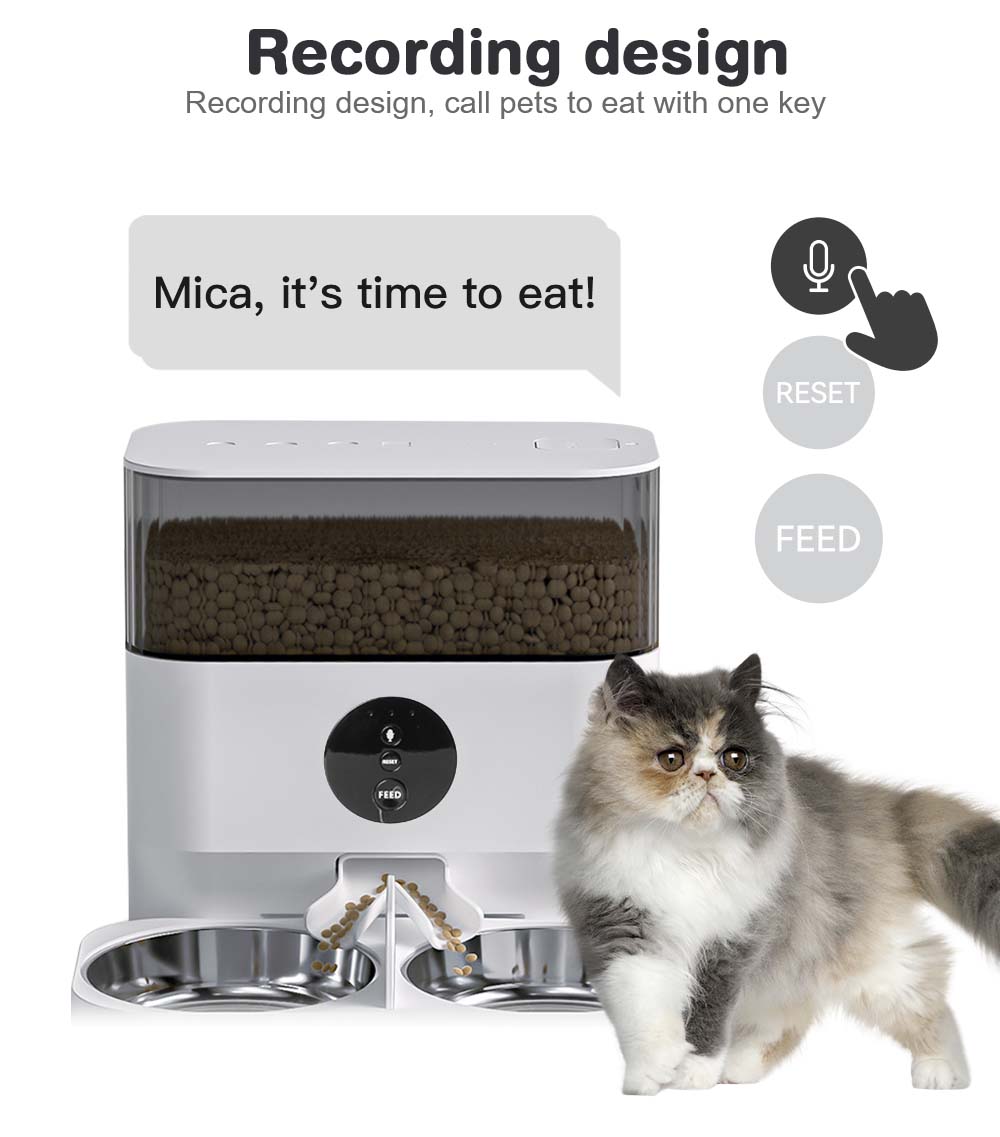 auto cat feeder