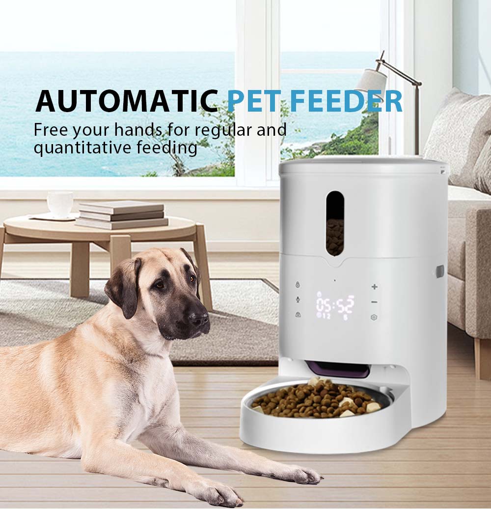 automatic feeder