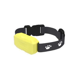 4G Yellow Smart Collar for Dogs