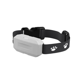 Grey Color Real-time Position GPS Tracking Collar for Cats