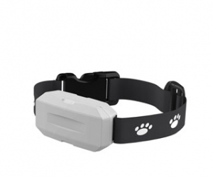Grey Color Real-time Position GPS Tracking Collar for Cats