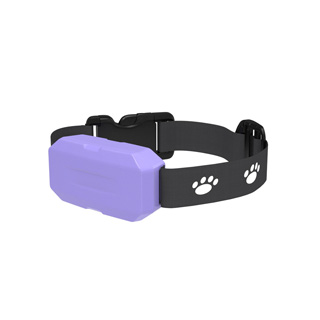 Purple Pet Tracking Device with Smart Abilities