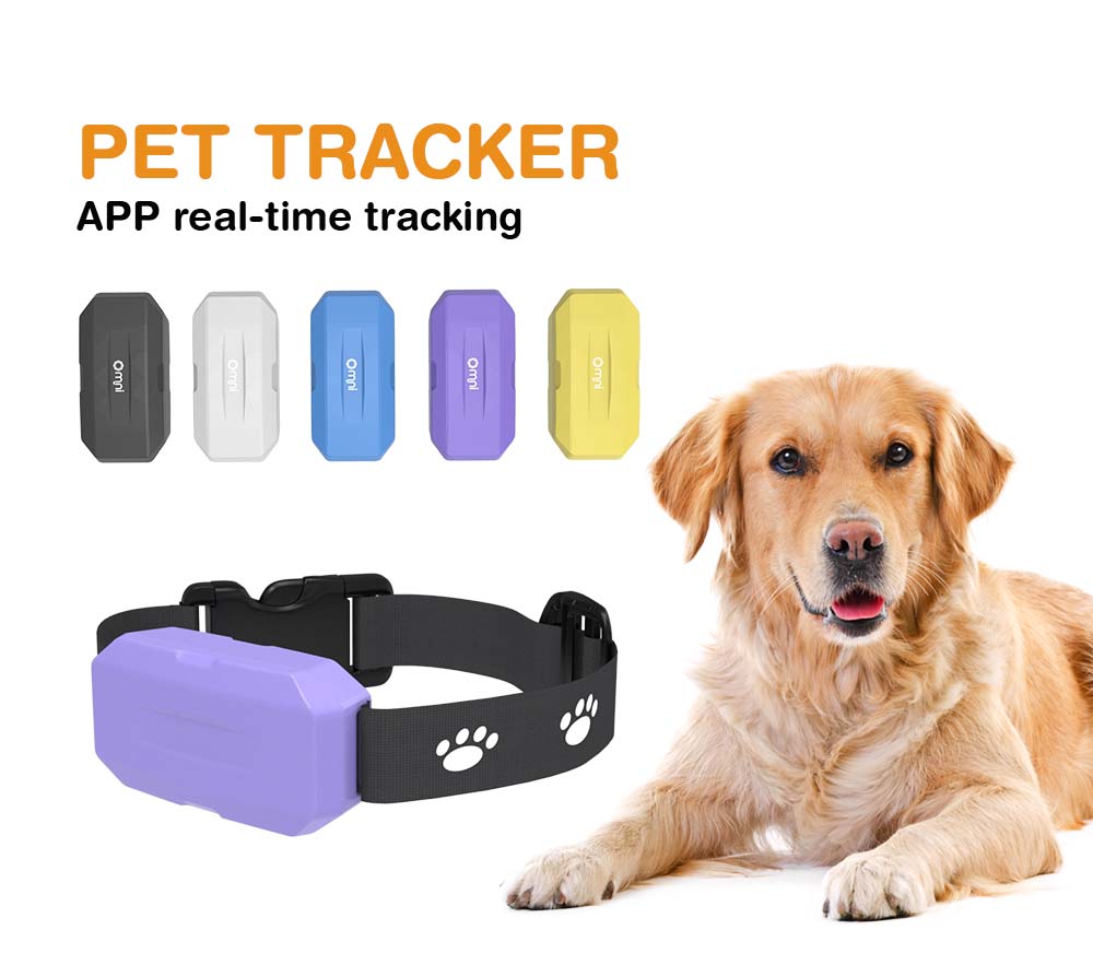 pet gps locator