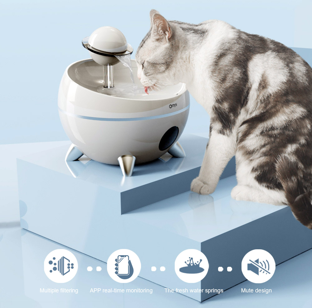 automatic pet feeder