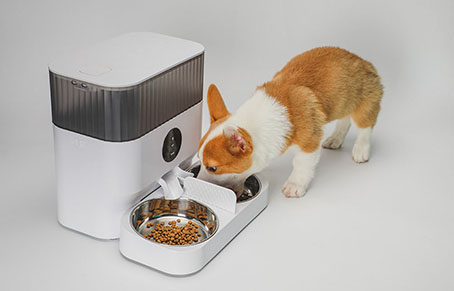 Scientific Feeding Pet By Automatic Dog Cat Feeder