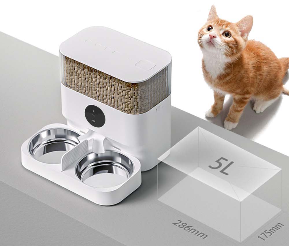 automatic cat feeder