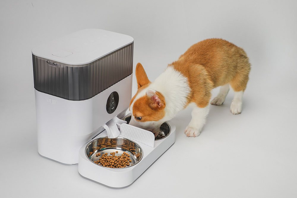 cat feeder