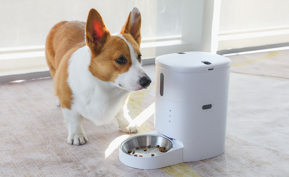 dog feeder