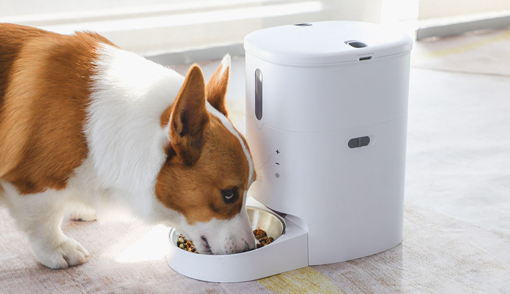 cat food dispenser