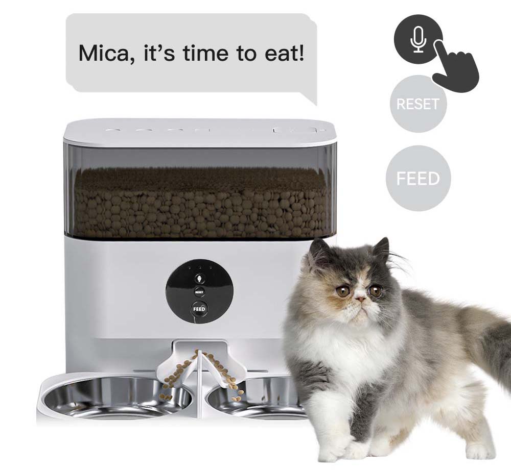 automatic pet feeder