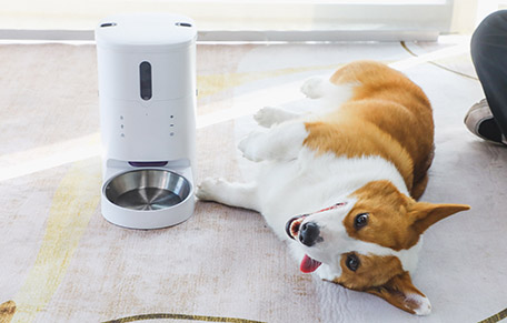 2023 Automatic Dog Food Dispenser Analysis Report