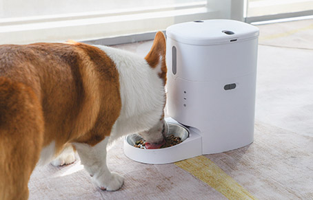 Why I Need A Pet Food Dispenser?