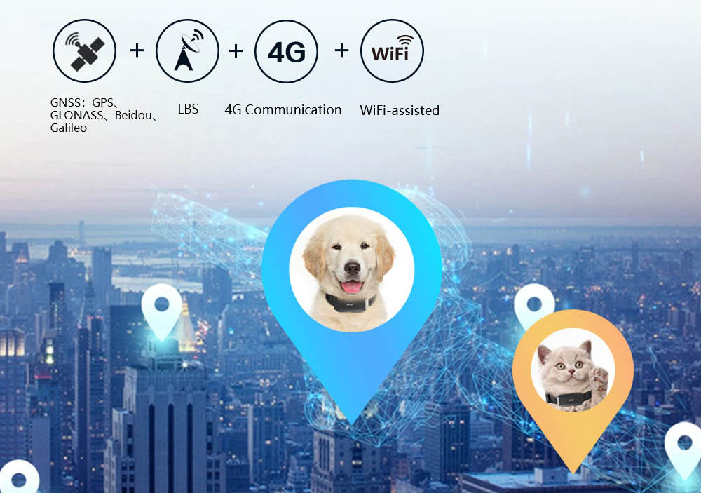 4G pet gps tracker