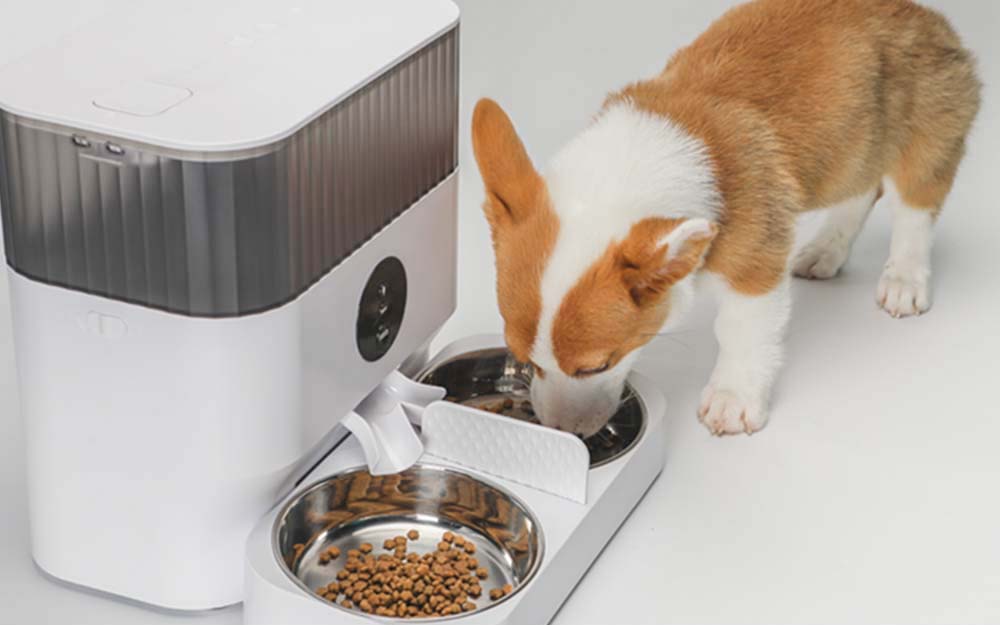 smart dog feeder