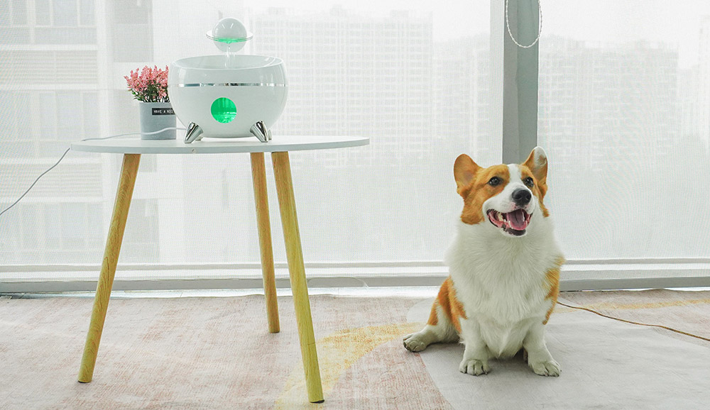 smart pet fountain