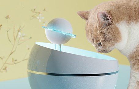 How To Disassemble The Pet Smart Water Fountain?