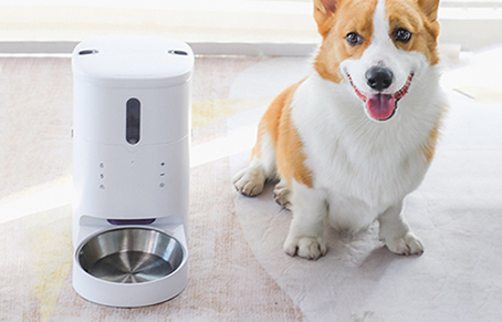 Is It Necessary To Buy A Pet Feeder?