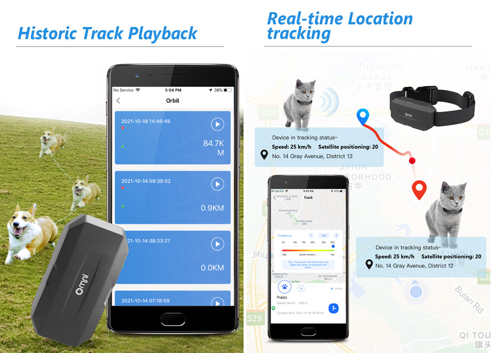 dog tracking system