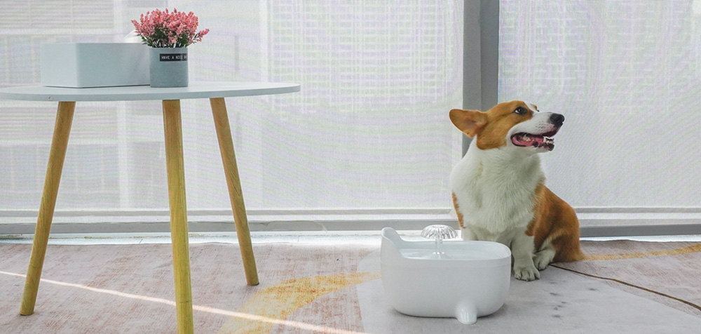 automatic pet fountain