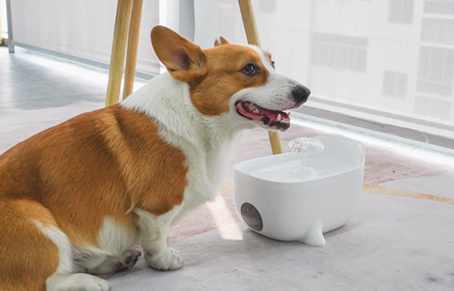 What Are The Water Flowing Modes Of Pet Fountain?