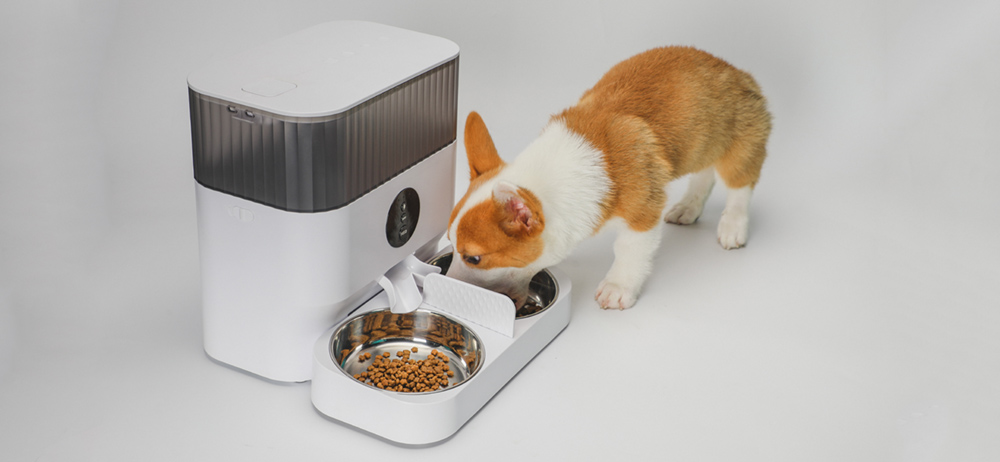 auto cat food dispenser