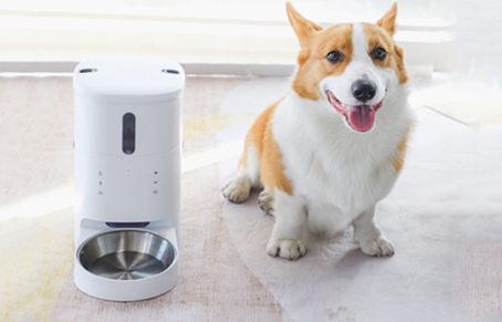 How To Control Pet Feeder With Smart Phone?