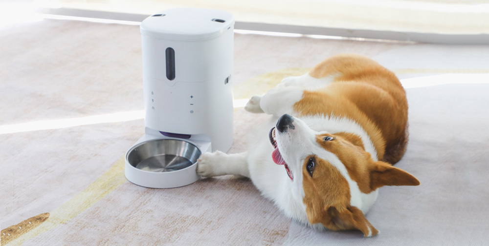 pet food automatic feeder