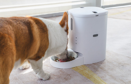 Why Is Pet Feeder Not Working? Pet Feeder Troubleshooti...