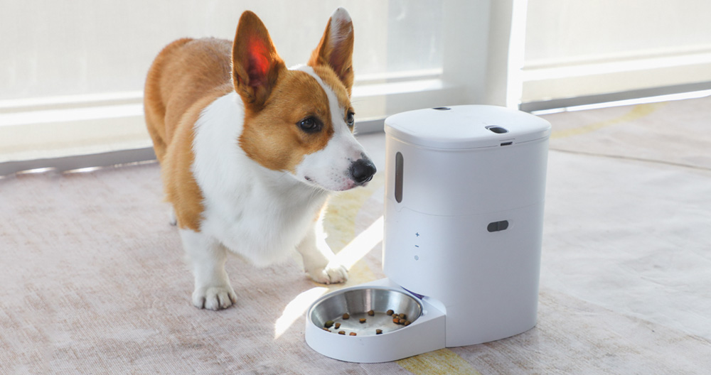 dry dog food dispenser