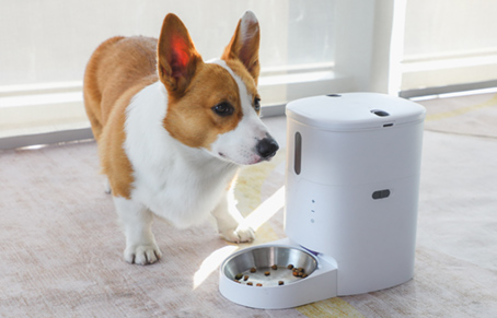 How Long Can Dog Food Be Stored In A Pet Feeder?