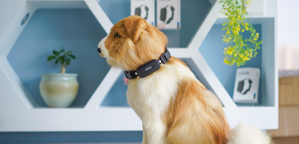 safer pet tracker