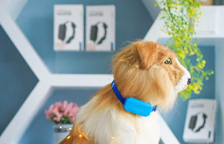 How Long Does A Pet Locator Last?