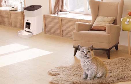 Do Cats Need To Be Fed With A Pet Automatic Food Feeder...