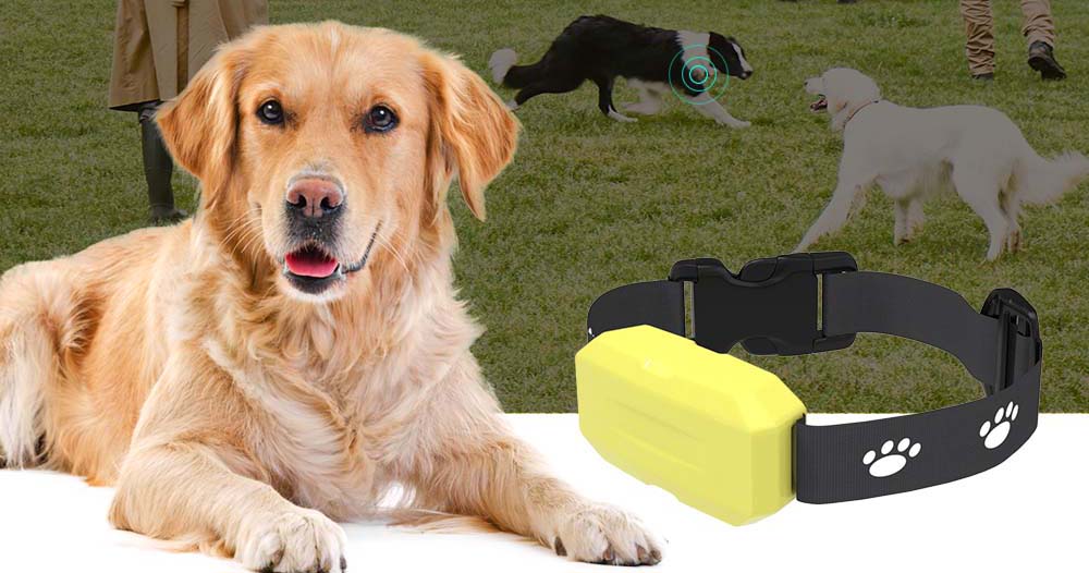 dog tracking system