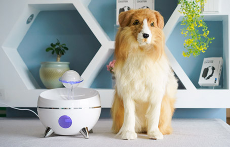 Is It Necessary To Buy A Pet Water Dispenser?