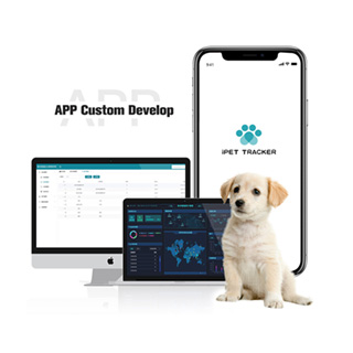 Product Adaptation App Software Custom Development Service 