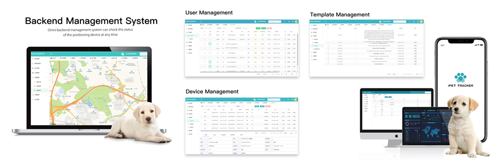 Backgend Management System