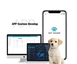 Product Adaptation App Software Custom Development Service 